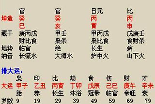 %B0%CB%D7%D6%CB%E3%C3%FC%B2%E2%D4%D6%BB%F6.JPG